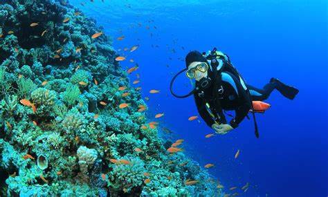 Diving Experience